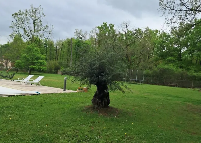 Проживание в семье Pres Du Golf *